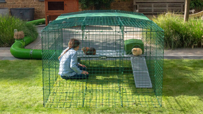 Guinea Pig Zippi Runs and Playpens