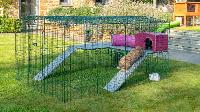 Rabbit Zippi Runs and Playpens