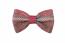 Papillon natalizio per cani Tweedy Papillon natalizio per cani Tweedy