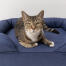 Primo piano di gatto seduto su letto blu notte bolster memory foam gatto Primo piano di gatto seduto su letto blu notte bolster memory foam gatto