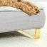 Primo piano di cane seduto su Omlet Topology letto per cani con letto bolster topper e Gold piedi della guida