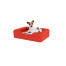 Cane seduto su piccolo ciliegio rosso memoria schiuma bolster letto per cani Cane seduto su piccolo ciliegio rosso memoria schiuma bolster letto per cani