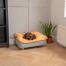 Bassotto sdraiato su Omlet Topology letto per cani con topper beanbag e piedi quadrati in legno