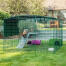 Omlet Zippi box per conigli con piattaforme Zippi, rifugio verde Zippi e due conigli