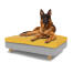 Cane seduto sul grande Topology letto per cani in memory foam con beanbag topper facile da pulire e piedi rotondi in legno