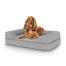 Cane seduto su letto medio per cani Topology con topper bolster Cane seduto su letto medio per cani Topology con topper bolster