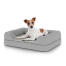 Cane seduto sul piccolo Topology letto per cani con topper bolster Cane seduto sul piccolo Topology letto per cani con topper bolster