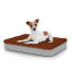 Cane seduto sul piccolo Topology letto per cani con topper in microfibra