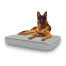 Cane seduto su grande Topology letto per cani con topper trapuntato