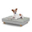 Cane seduto su un piccolo Topology letto per cani con topper trapuntato e piedi rotondi in legno Cane seduto su un piccolo Topology letto per cani con topper trapuntato e piedi rotondi in legno