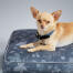 Chihuahua in una cuccia di design con cuscino grigio foresta autunnale progettata da Omlet