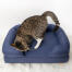 Gatto carino che si mette comodo sul letto di schiuma blu notte per gatti Gatto carino che si mette comodo sul letto di schiuma blu notte per gatti