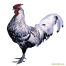 Maschio a lustrini d'argento