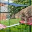 Gatto che si arrampica dalla mensola rossa per gatti all'aperto sulla mensola bianca per gatti all'aperto in Omlet catio