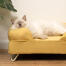 Simpatico gatto bianco birichino che dorme sul letto a bolster per gatti giallo pastoso con piedi bianchi a forcina