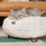 Gatto che dorme su un'elegante e morbida cuccia maya donut bianco neve con piedini a forcella neri in metallo Gatto che dorme su un'elegante e morbida cuccia maya donut bianco neve con piedini a forcella neri in metallo