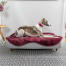 un levriero che riposa su una cuccia topology in memory foam un levriero che riposa su una cuccia topology in memory foam
