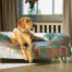 Un retriever che si riposa sopra la cuccia elettrica pawsteps