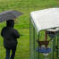 Proprietario con ombrello accanto a un gatto in un recinto con copertura trasparente