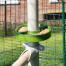 Poletree piatto per il trespolo del pollo riempito di bocconcini in Omlet walk in chicken run Poletree piatto per il trespolo del pollo riempito di bocconcini in Omlet walk in chicken run
