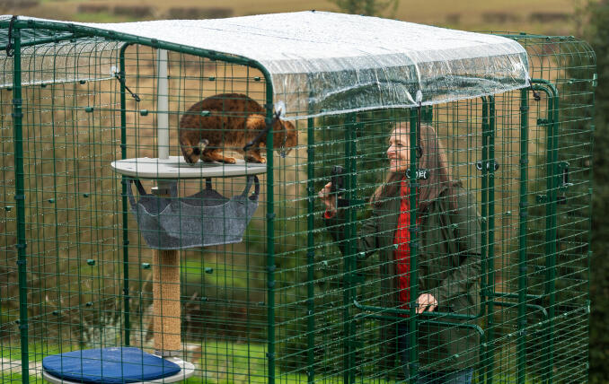 Proprietario che interagisce con il suo gatto in una Omlet Walk In Run con protezione dalle intemperie.