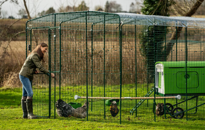 La proprietaria che le apre la porta entra con le galline e un pollaio a cubetti di eglu.