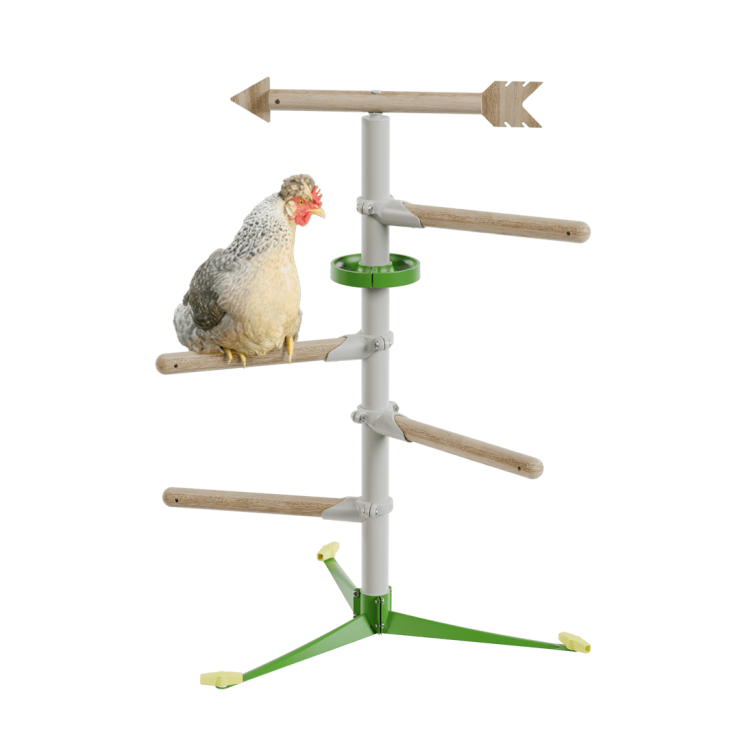 Posatoio per galline Freestanding - Kit divertimento