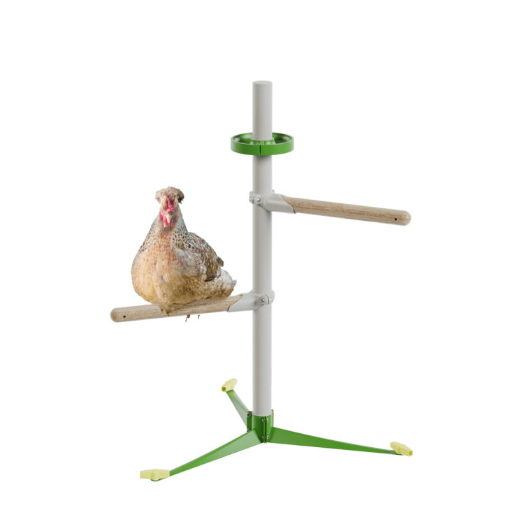 Posatoio universale per galline Freestanding - Kit principianti