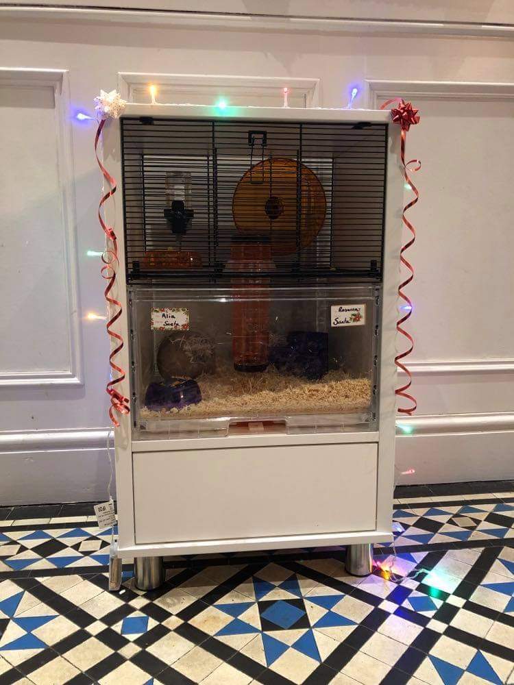 Amaca E Playbridge Per Criceti E Gerbilli - Giocattolo Per Gabbia Con Scala E Anello Di Corda - Foto 6