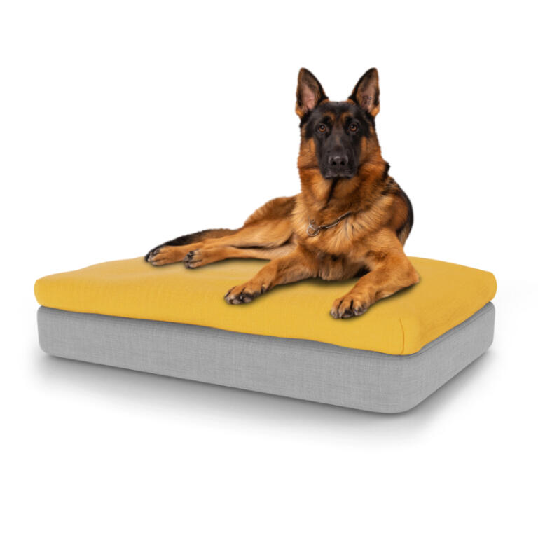 german shepherd bed size