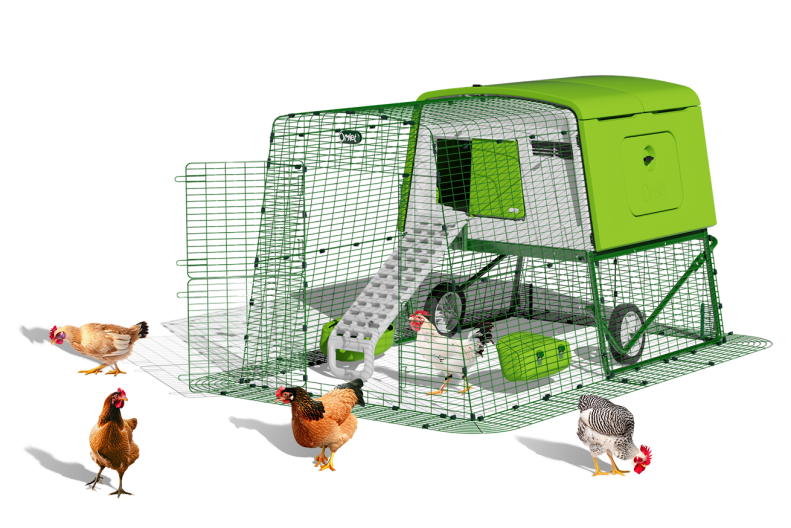 Eglu Cube - pollaio per 6 galline