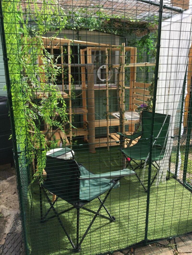 Recinto per Gatti Walk-In - OutDoor Cat Run My Cats Love Their OutDoor Space Photo 2020 07 30 16 10 46 8fD727D8
