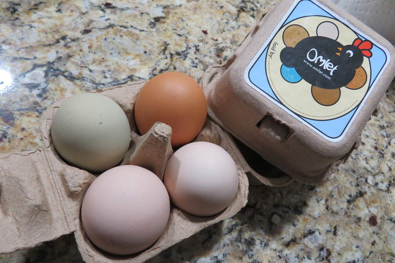 Omlet Portauovo con 4 uova 20 scatole