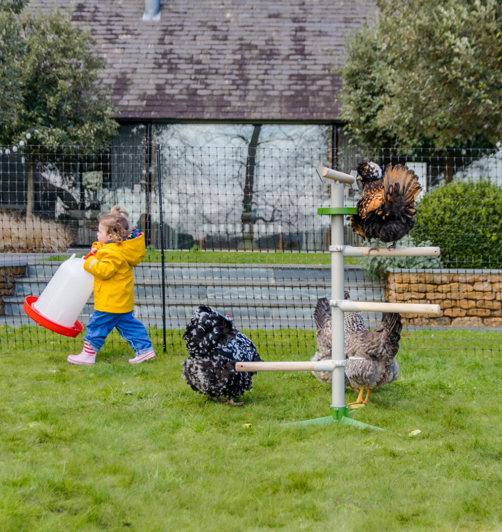 Un bambino accanto a galline che giocano su un trespolo indipendente con recinti per galline sullo sfondo.