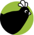 Pollo