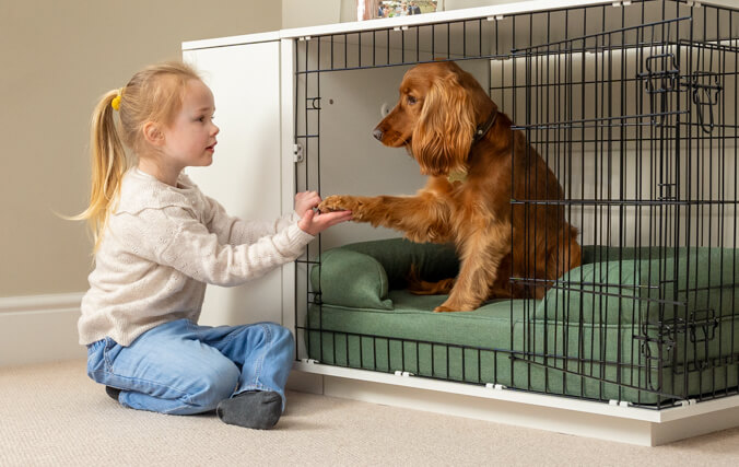 bambina che gioca con un cane in un kennel