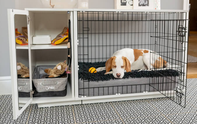 cane che dorme in un kennel moderno