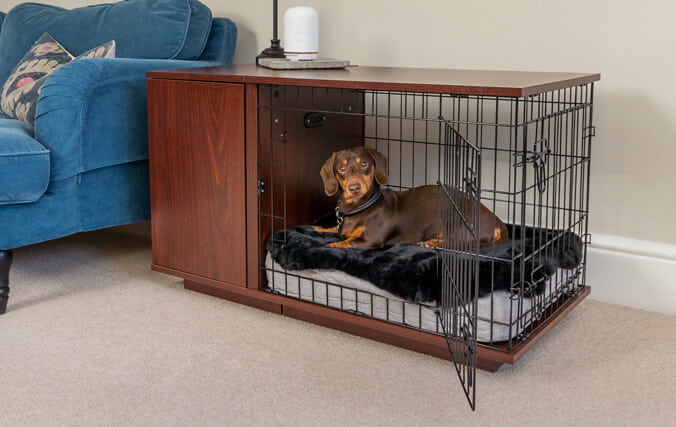 Un cane in un kennel di legno