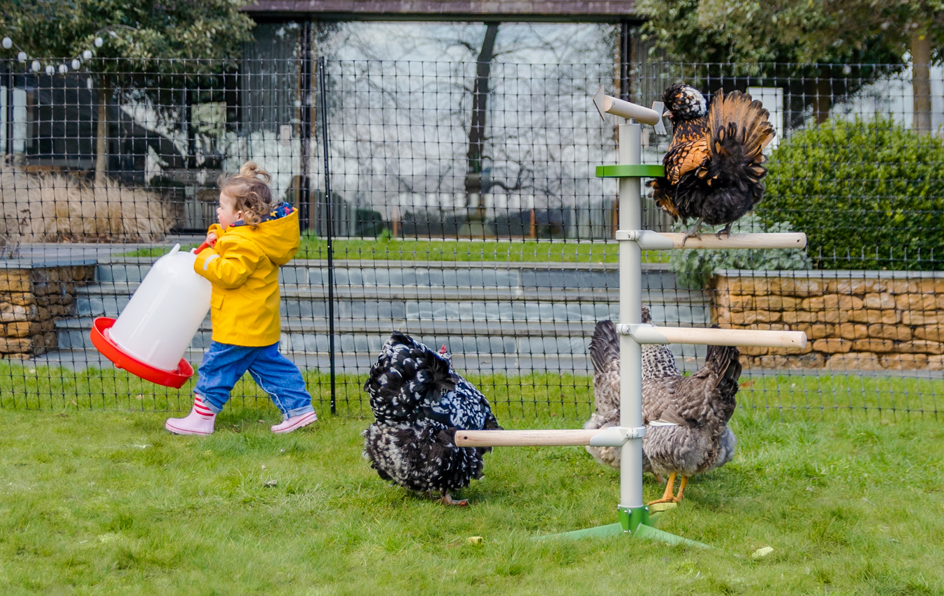 Bambina che cammina vicino alle sue galline accanto a un posatoio Freestanding di Omlet