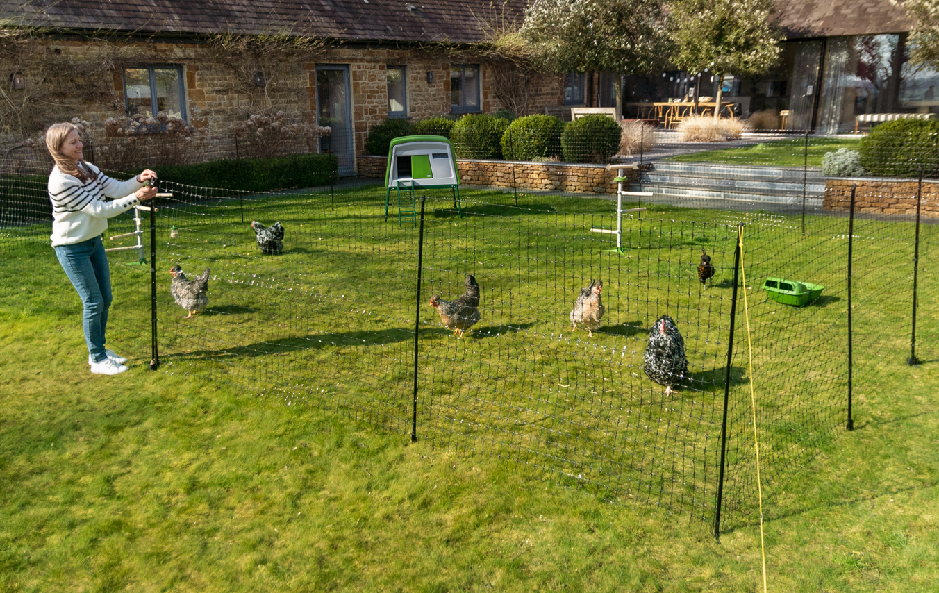 Galline in un giardino recintate in un recinto per galline di Omlet