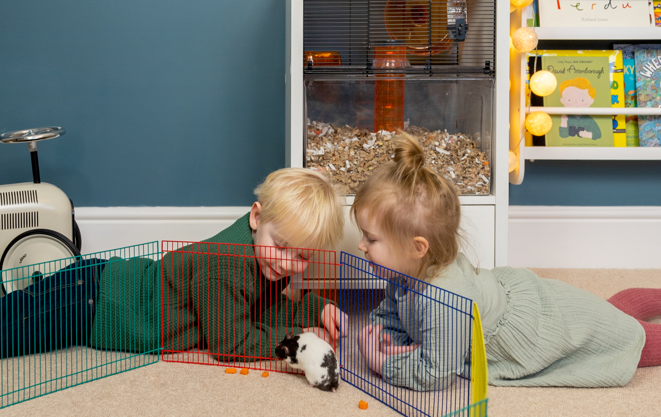 bambini che giocano con criceti e gerbilli