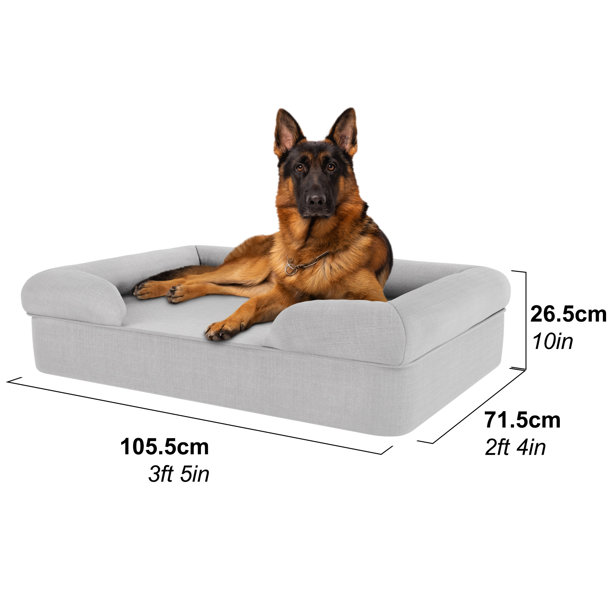 German Shepherd in a large dog bed