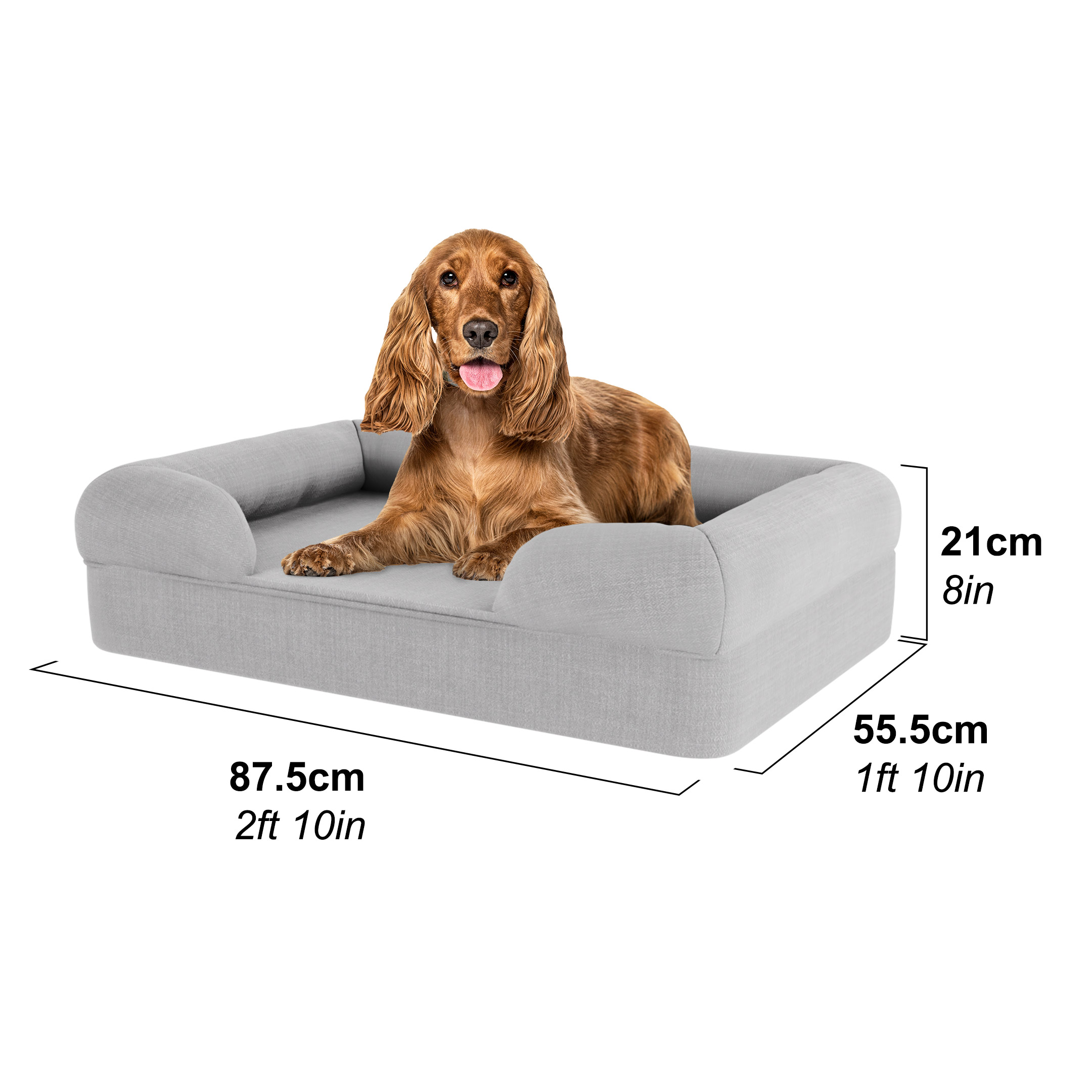 Cocker in a medium dog bed