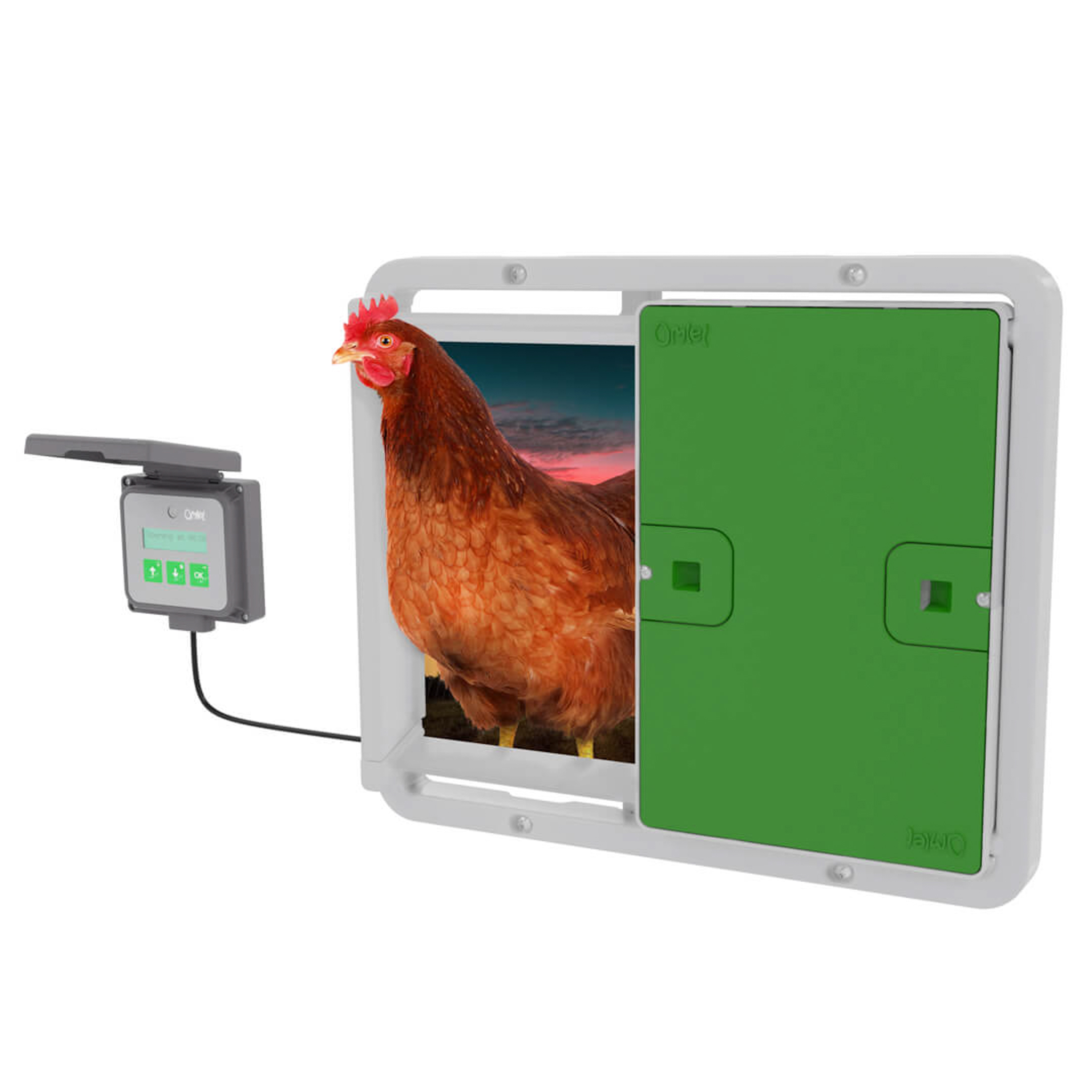 Porta automatica del pollaio con rilevamento della luce porta automatica  del pollaio porta del pollaio porta del pollo per allevamento domestico -  AliExpress