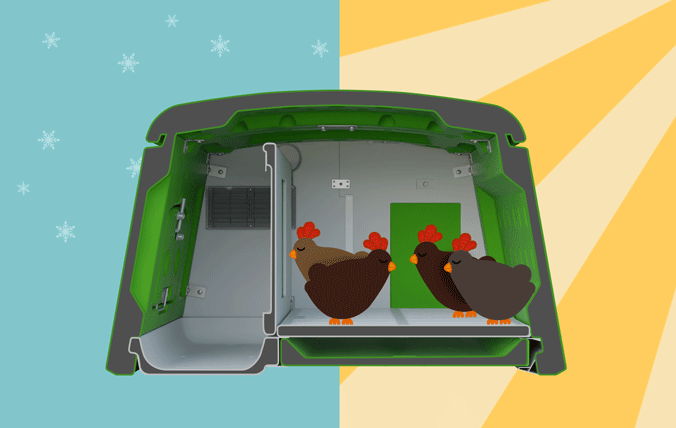 Ottimo con ogni tempo, tiene le galline al caldo in inverno e al fresco in estate.