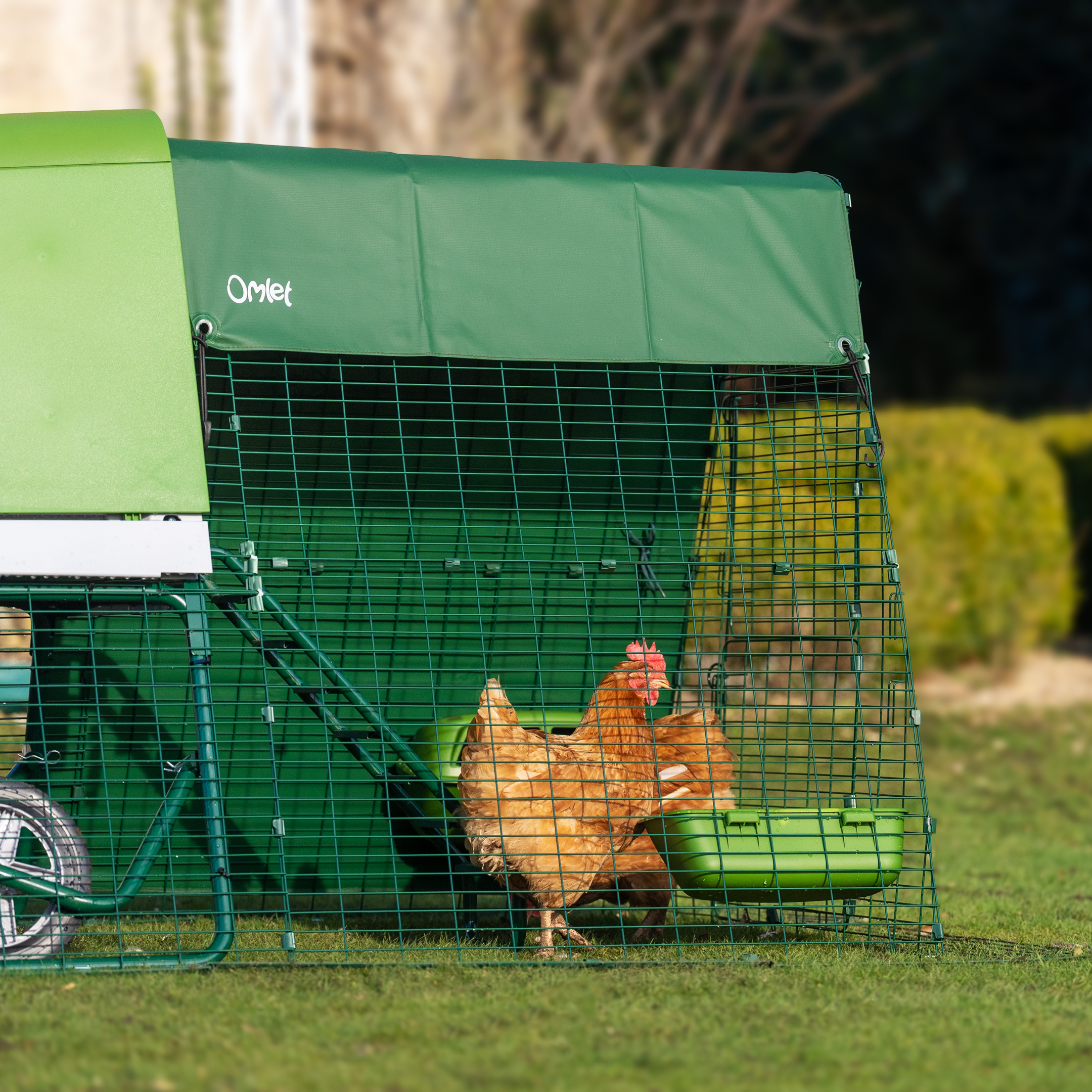 Kerbl Mangiatoia Verde In Ferro Zincato 70280 – Altezza 50 Cm, Con Staffe Di Montaggio