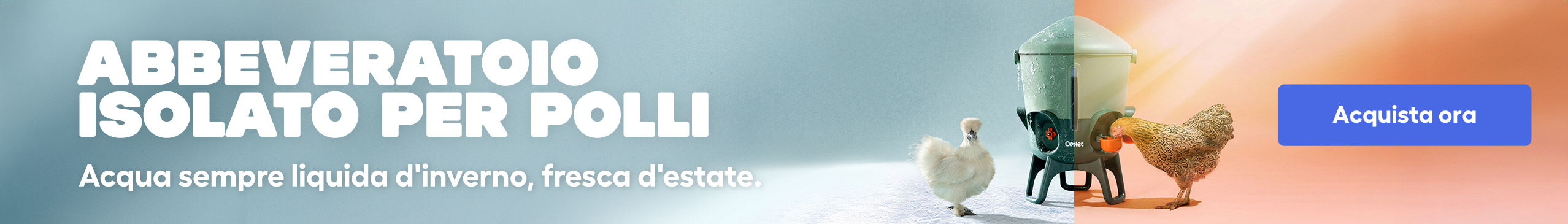 insulated chicken drinker