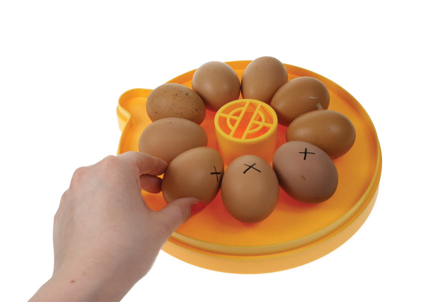 Ruotare le uova all'interno dell'incubatrice Brinsea Mini Eco