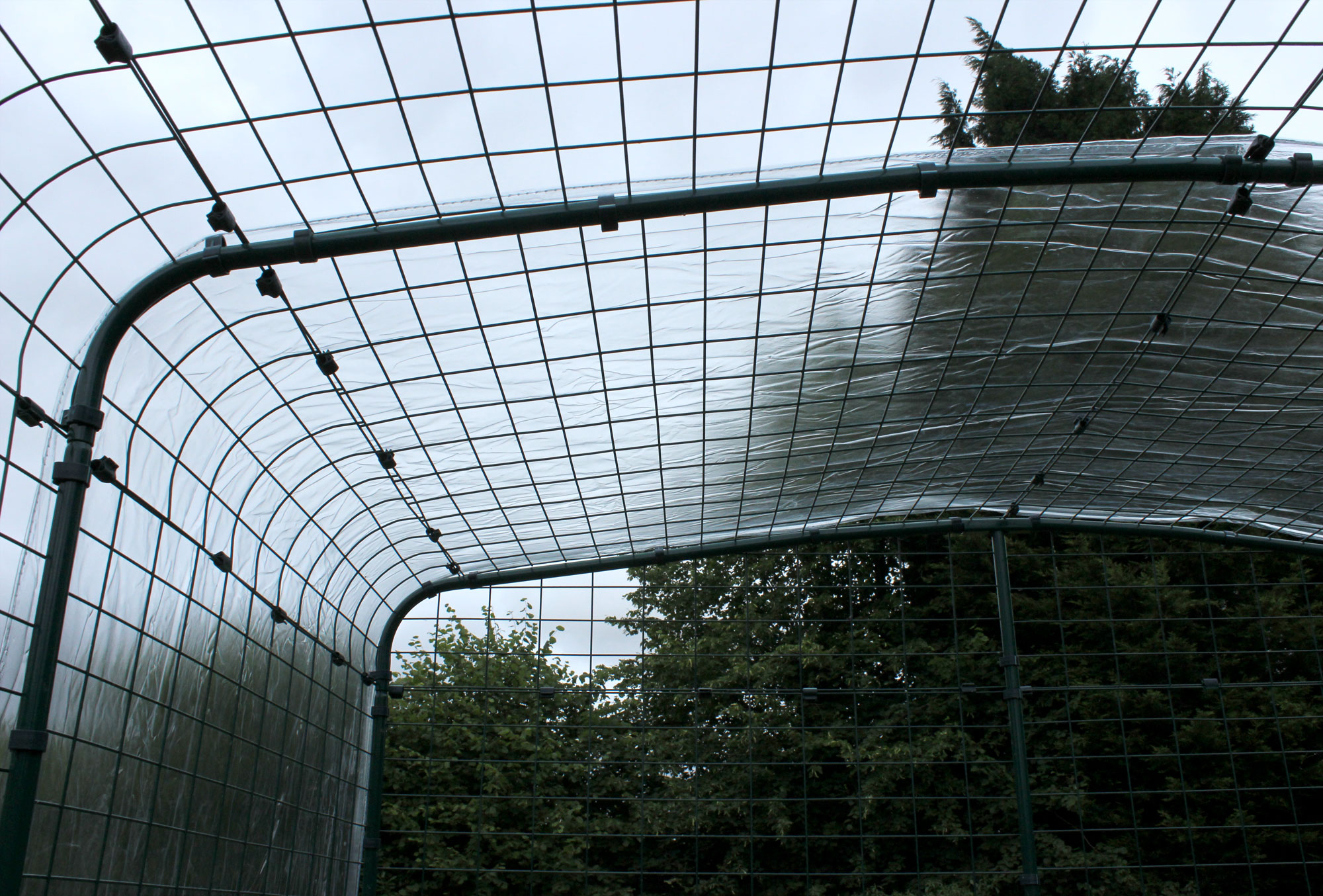 Telo In PVC Rinforzato Trasparente - 3x3 Metri Con Occhielli - Foto 3