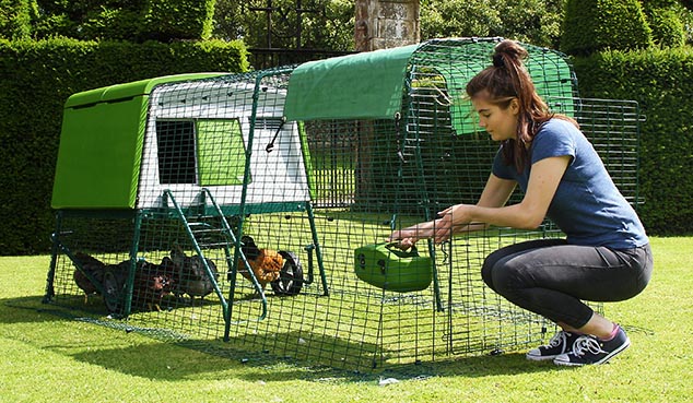 Una porta del recinto fatta come quella di una stalla permette di rifornire di cibo ed acqua le vostre galline, o di lasciarle razzolare liberamente